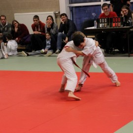 IMG 3104  Small - Judoclub Zaventem 